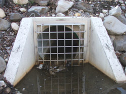 Storm Sewer Storm Sewer